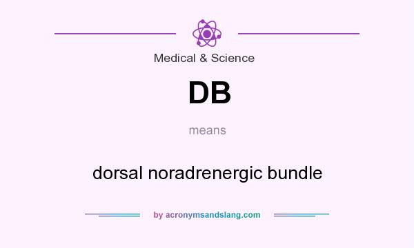 What does DB mean? It stands for dorsal noradrenergic bundle