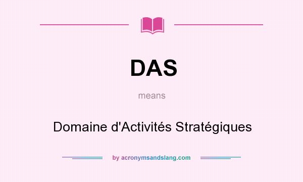 What does DAS mean? It stands for Domaine d`Activités Stratégiques