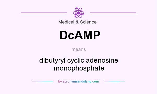 What does DcAMP mean? It stands for dibutyryl cyclic adenosine monophosphate
