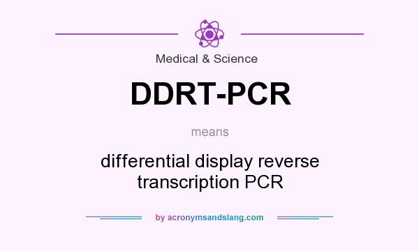 What does DDRT-PCR mean? It stands for differential display reverse transcription PCR