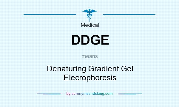 What does DDGE mean? It stands for Denaturing Gradient Gel Elecrophoresis