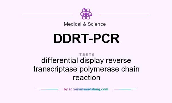 What does DDRT-PCR mean? It stands for differential display reverse transcriptase polymerase chain reaction
