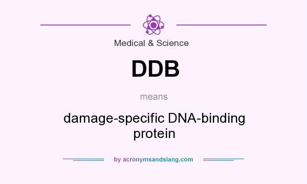What does DDB mean? It stands for damage-specific DNA-binding protein