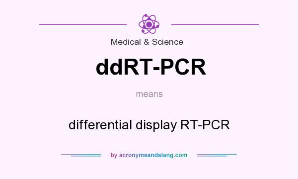 What does ddRT-PCR mean? It stands for differential display RT-PCR