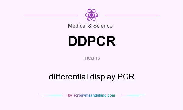 What does DDPCR mean? It stands for differential display PCR