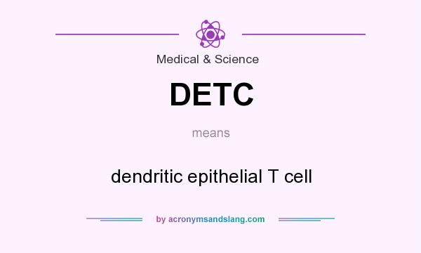 What does DETC mean? It stands for dendritic epithelial T cell