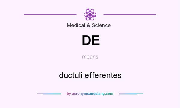 What does DE mean? It stands for ductuli efferentes
