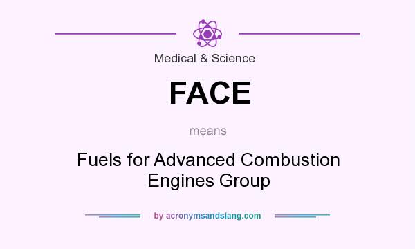 What does FACE mean? It stands for Fuels for Advanced Combustion Engines Group