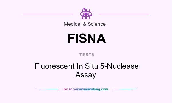 What does FISNA mean? It stands for Fluorescent In Situ 5-Nuclease Assay
