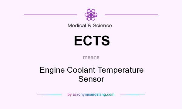 What does ECTS mean? It stands for Engine Coolant Temperature Sensor