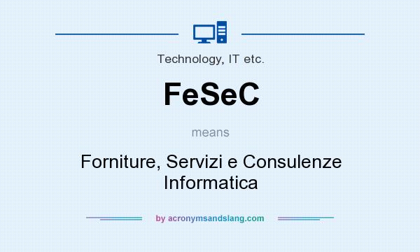 What does FeSeC mean? It stands for Forniture, Servizi e Consulenze Informatica