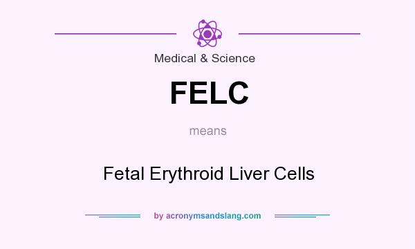 What does FELC mean? It stands for Fetal Erythroid Liver Cells
