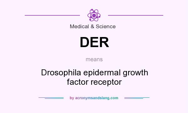 What does DER mean? It stands for Drosophila epidermal growth factor receptor