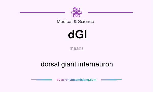 What does dGI mean? It stands for dorsal giant interneuron