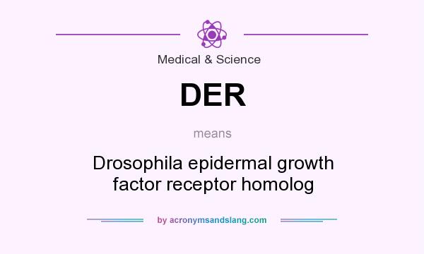 What does DER mean? It stands for Drosophila epidermal growth factor receptor homolog