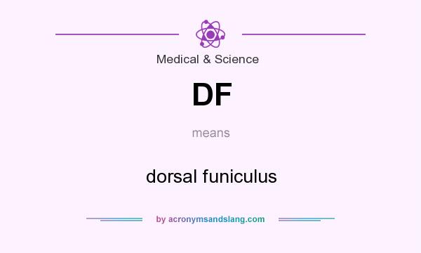 What does DF mean? It stands for dorsal funiculus