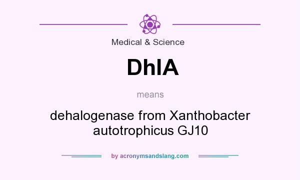 What does DhlA mean? It stands for dehalogenase from Xanthobacter autotrophicus GJ10