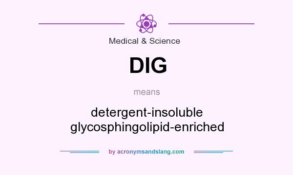 What does DIG mean? It stands for detergent-insoluble glycosphingolipid-enriched