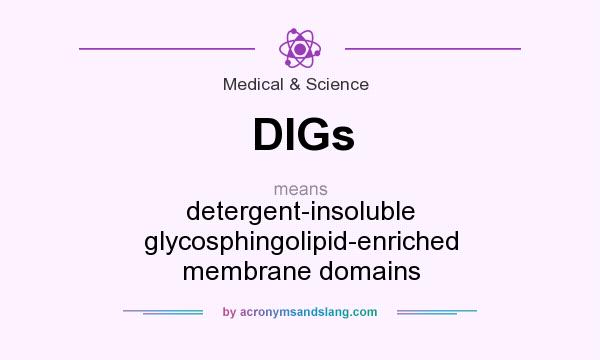 What does DIGs mean? It stands for detergent-insoluble glycosphingolipid-enriched membrane domains