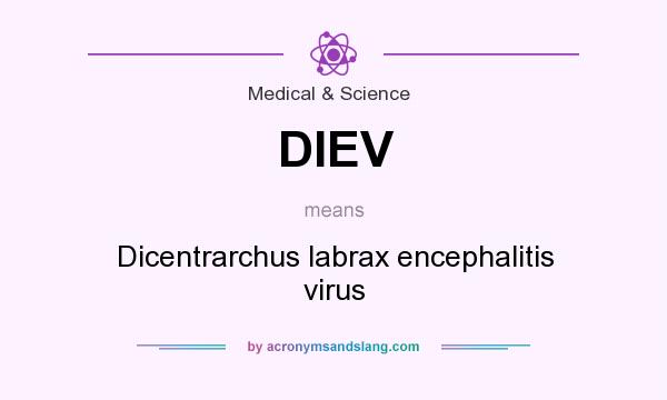 What does DIEV mean? It stands for Dicentrarchus labrax encephalitis virus