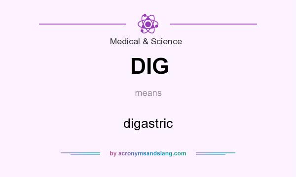 What does DIG mean? It stands for digastric