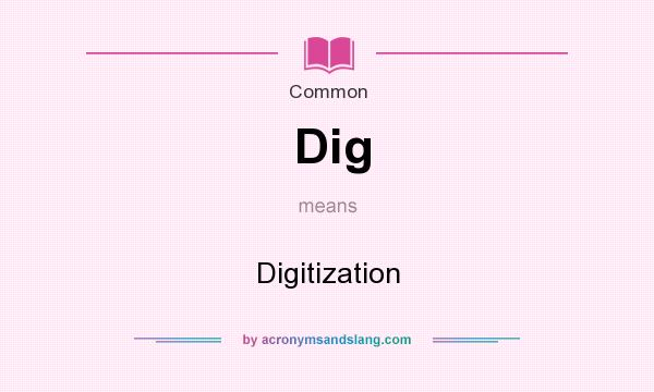 What does Dig mean? It stands for Digitization