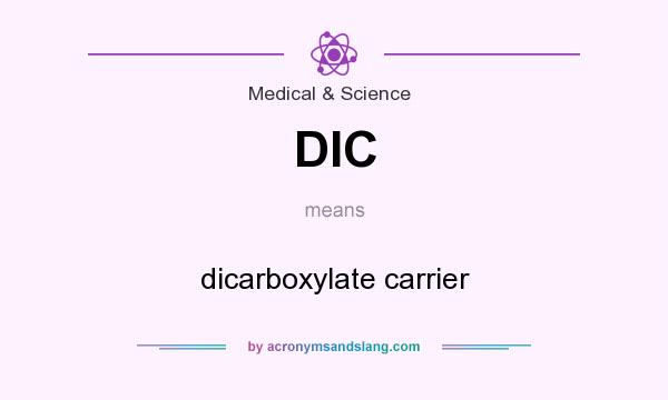 What does DIC mean? It stands for dicarboxylate carrier
