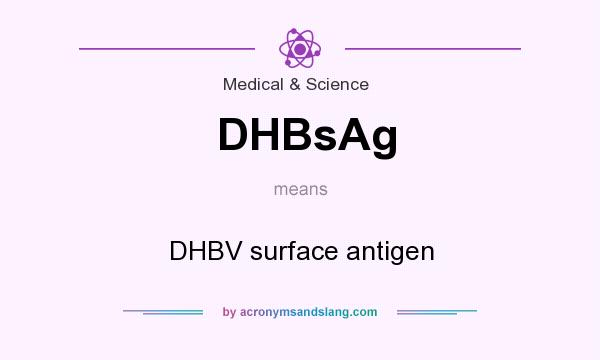What does DHBsAg mean? It stands for DHBV surface antigen