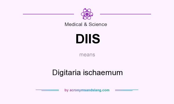 What does DIIS mean? It stands for Digitaria ischaemum