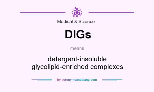 What does DIGs mean? It stands for detergent-insoluble glycolipid-enriched complexes