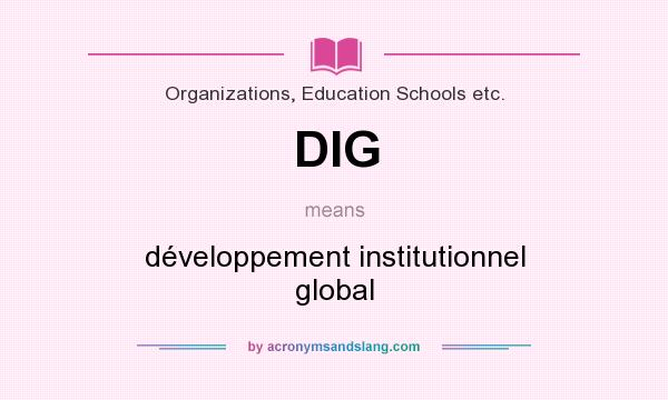 What does DIG mean? It stands for développement institutionnel global