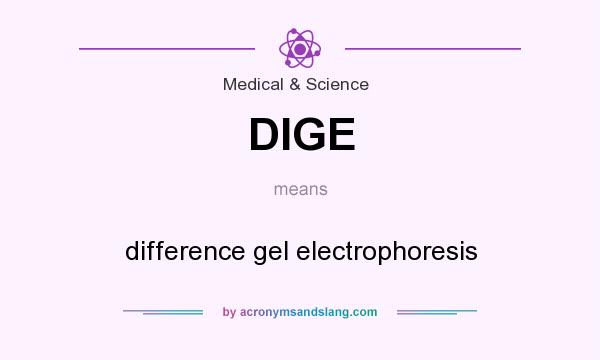 What does DIGE mean? It stands for difference gel electrophoresis
