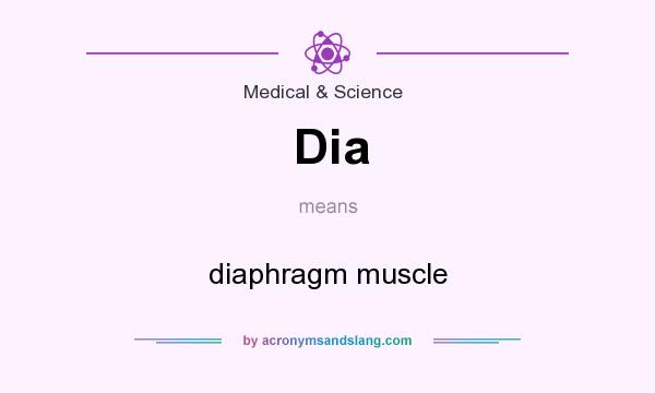 What does Dia mean? It stands for diaphragm muscle