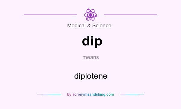 What does dip mean? It stands for diplotene