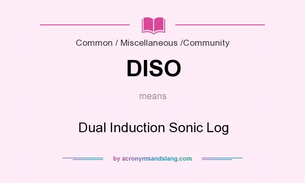 What does DISO mean? It stands for Dual Induction Sonic Log