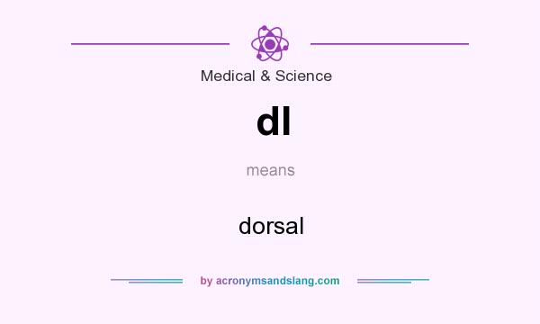 What does dl mean? It stands for dorsal