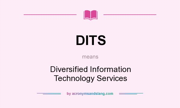 What does DITS mean? It stands for Diversified Information Technology Services