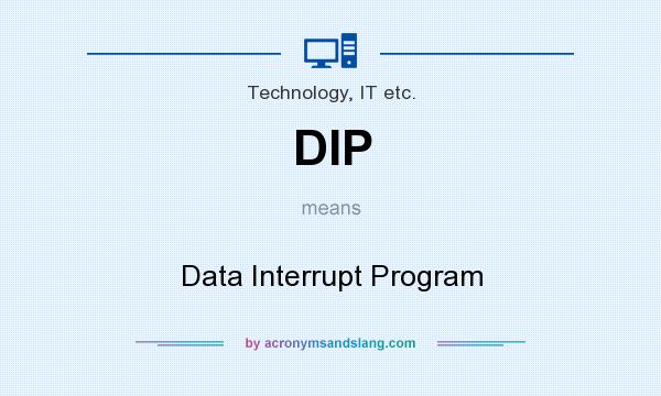 What does DIP mean? It stands for Data Interrupt Program
