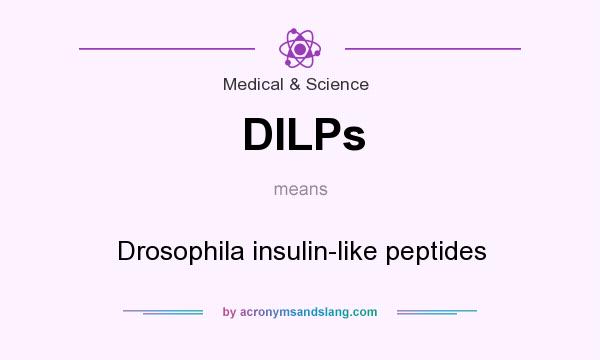 What does DILPs mean? It stands for Drosophila insulin-like peptides