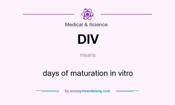 What does DIV mean? It stands for days of maturation in vitro