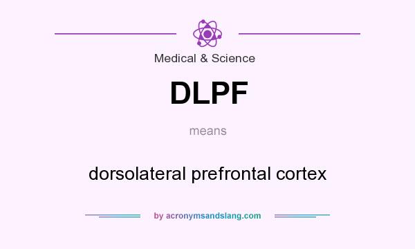 What does DLPF mean? It stands for dorsolateral prefrontal cortex