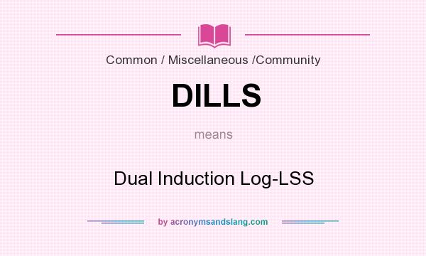 What does DILLS mean? It stands for Dual Induction Log-LSS
