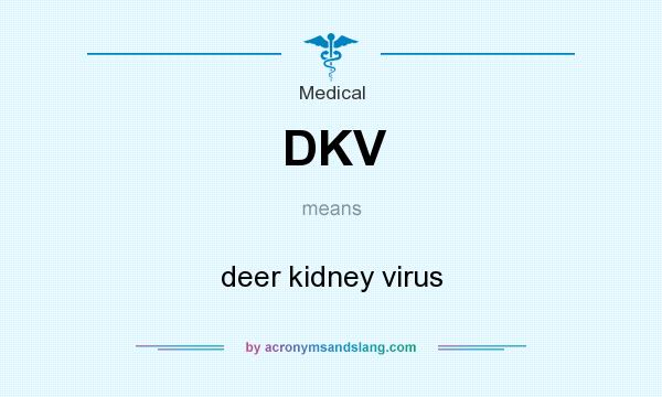 What does DKV mean? It stands for deer kidney virus