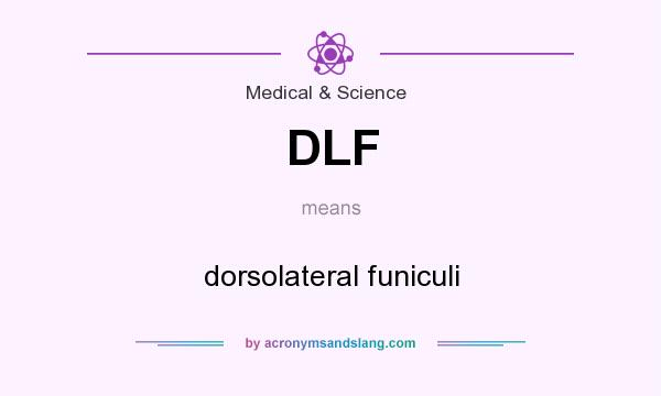 What does DLF mean? It stands for dorsolateral funiculi