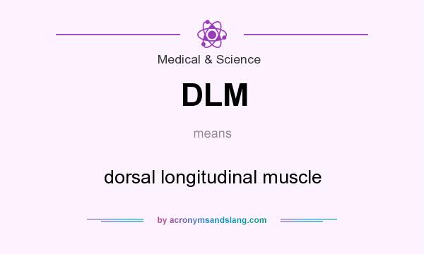 What does DLM mean? It stands for dorsal longitudinal muscle