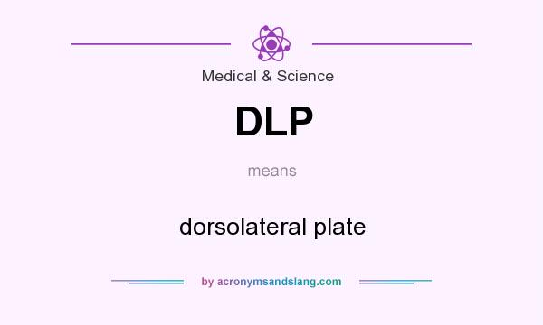 What does DLP mean? It stands for dorsolateral plate