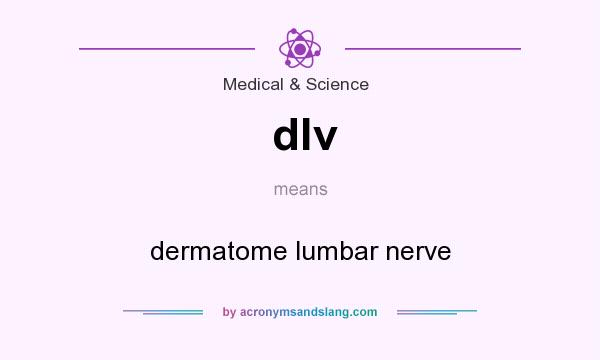 What does dlv mean? It stands for dermatome lumbar nerve