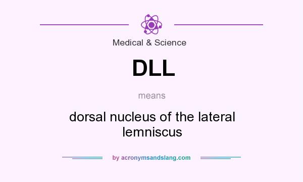 What does DLL mean? It stands for dorsal nucleus of the lateral lemniscus
