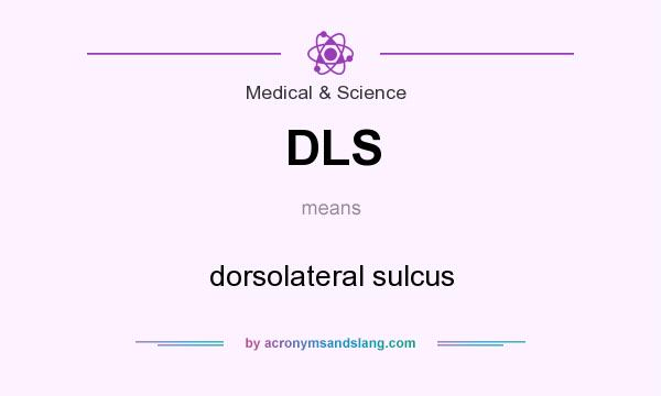 What does DLS mean? It stands for dorsolateral sulcus