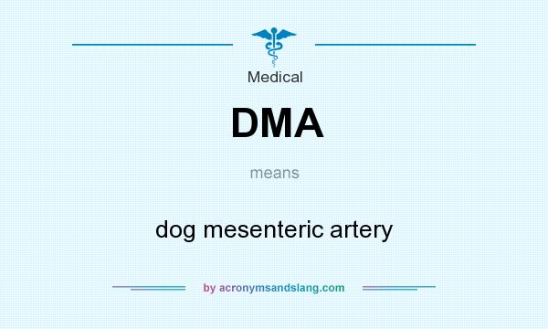 What does DMA mean? It stands for dog mesenteric artery